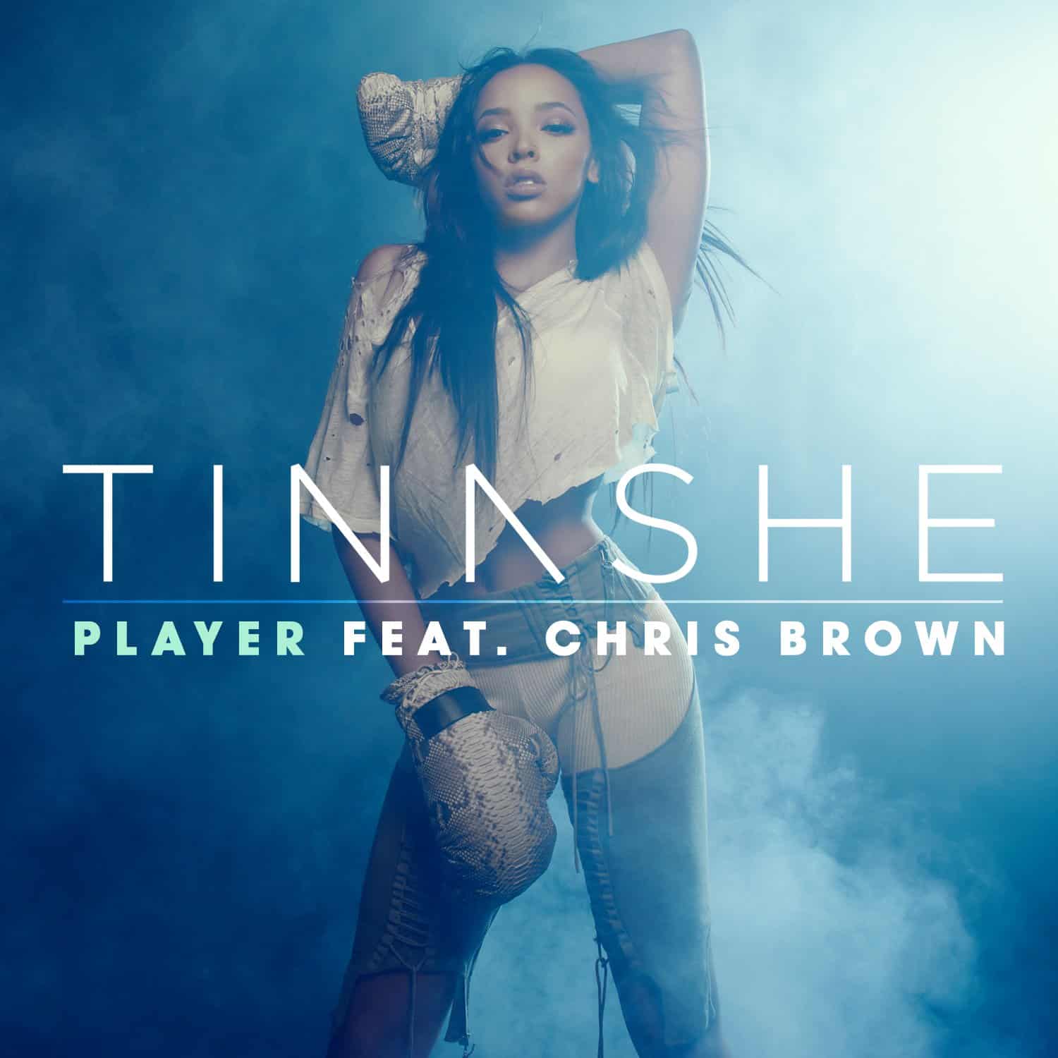 Tinashe i Chris Brown razem w teledysku do Player!